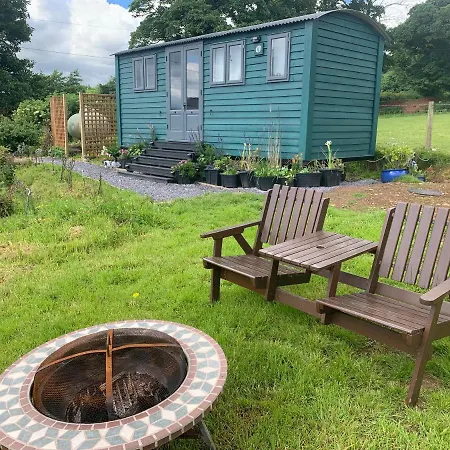 Shepherds Hut With Hot Tub North Wales Anglesey Llanfairpwllgwyngyll Buitenkant foto