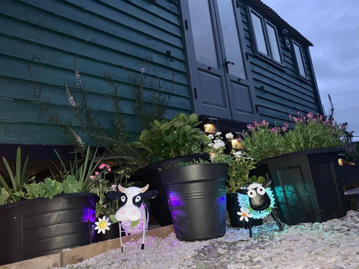Shepherds Hut With Hot Tub North Wales Anglesey * Llanfairpwllgwyngyll